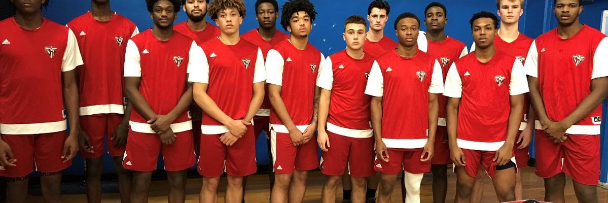 Dave Springer banner