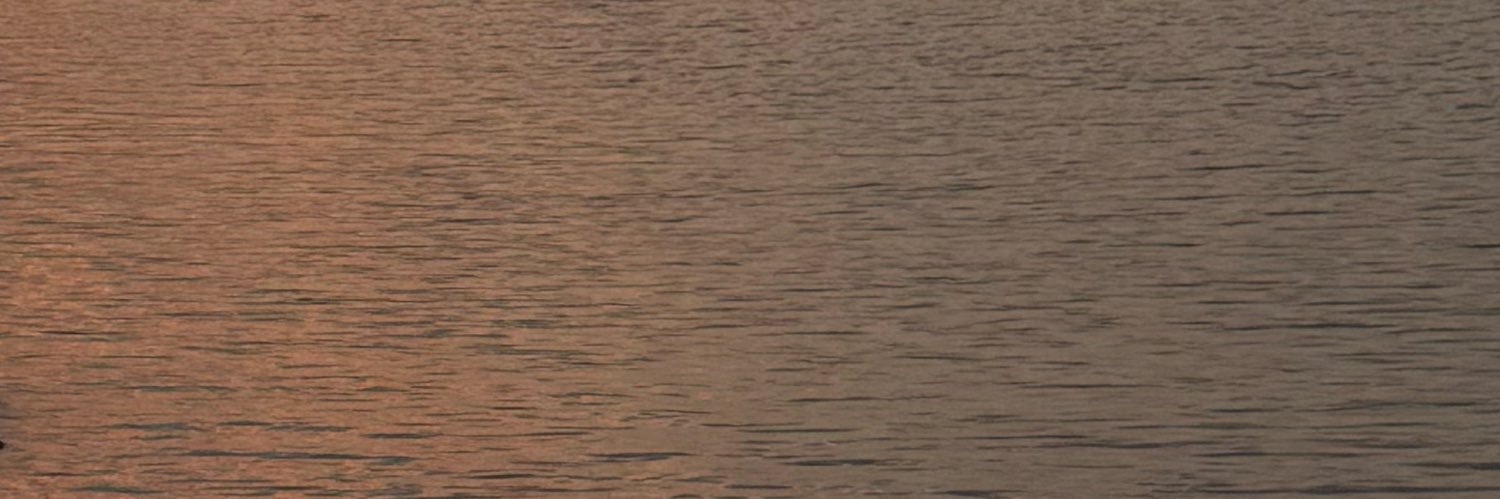 neyina. banner