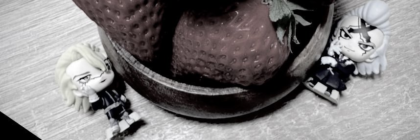 𝑳𝑶𝑬𝑴𝑨:'s banner