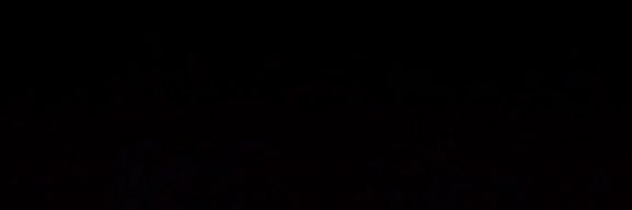Nn banner