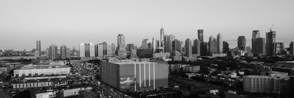 theevogenius's profile banner image