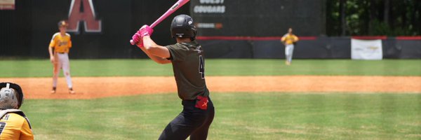 AaRod_22 Profile Banner