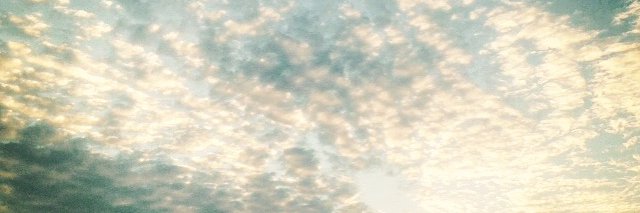 vanessahickman's profile banner image