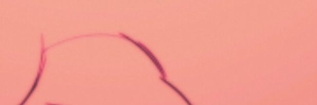 ░▒▓█ ʳʸᵃⁿ ▌│█║▌║ | ႦιɱႦσ█▓▒░ banner