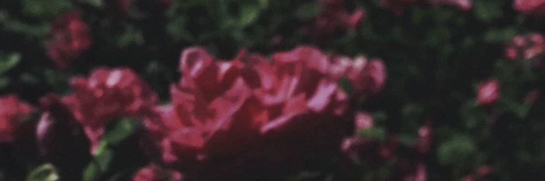 SBdorh's profile banner image