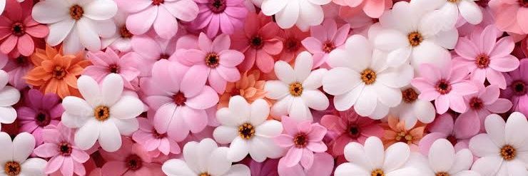 ♡ Darcel ♡ banner