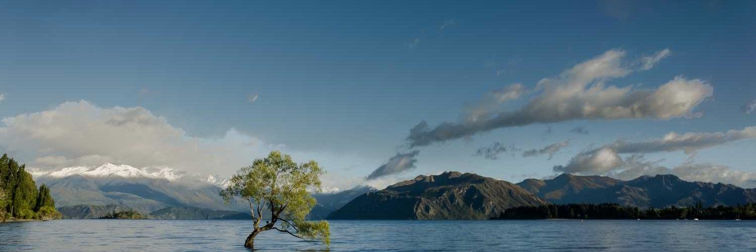 kitty bernal꧁IP꧂ banner