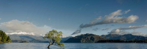 kittybernal Profile Banner