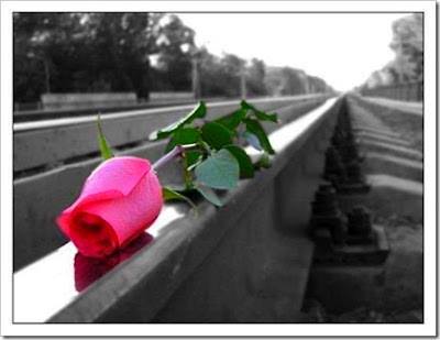 AnisyaRani's profile banner image