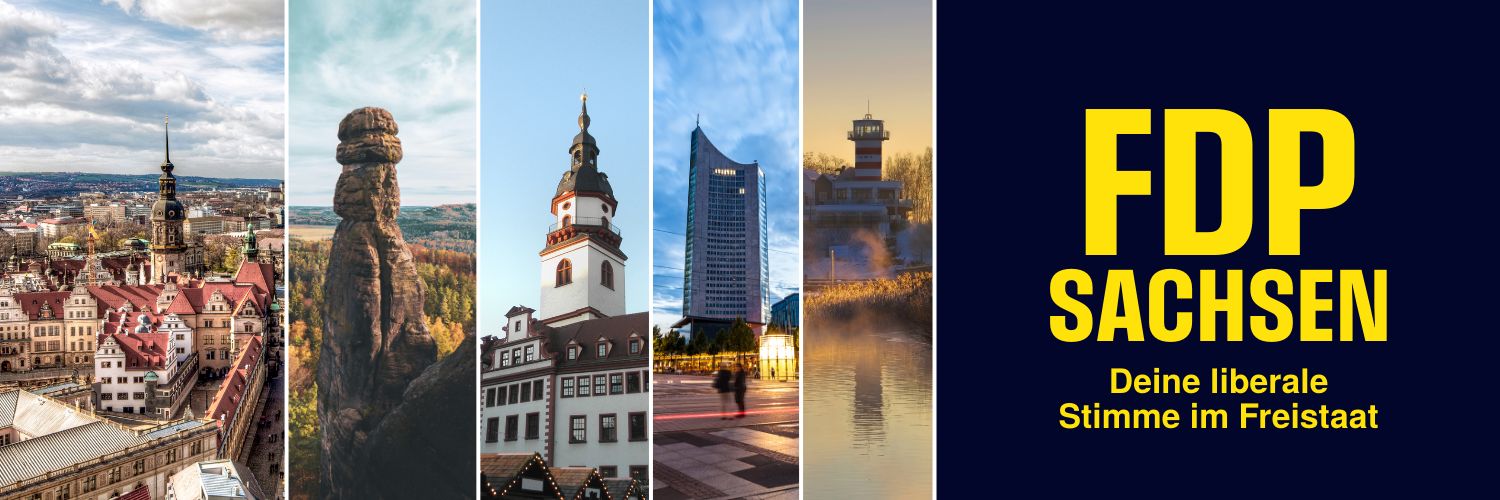 FDP Sachsen banner
