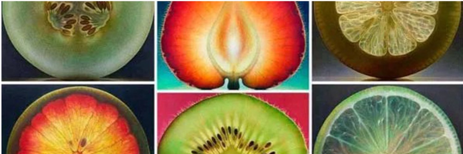 Monkey Machine banner