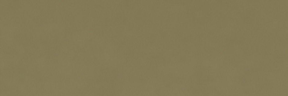 virgrooves's profile banner image