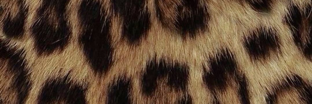 mel sugar baby💋 banner