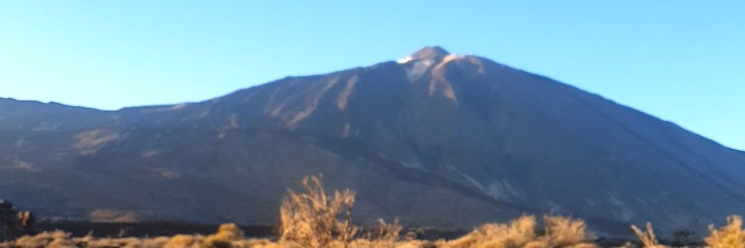mirandamayte's profile banner image