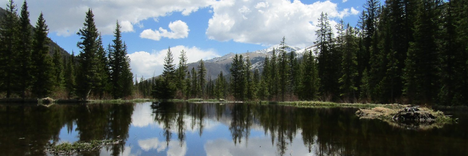 Alex Alexiev, PhD banner