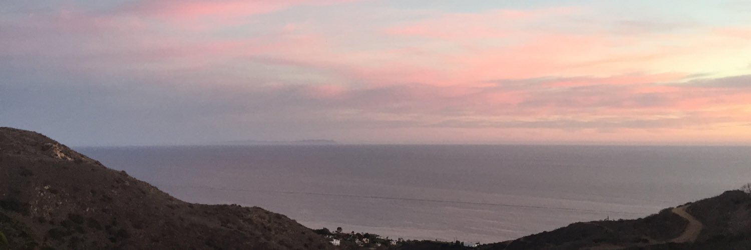 emilysojo's profile banner image