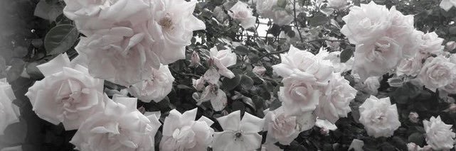 nozxs_'s profile banner image
