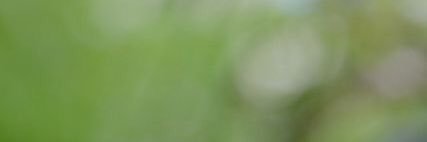 bintalhattali's profile banner image