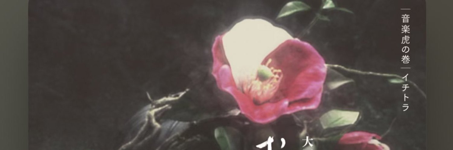 로맨스 코디드 banner