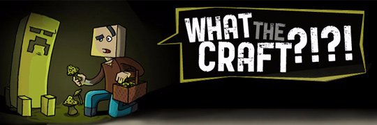 WTCraft !? Minecraft banner