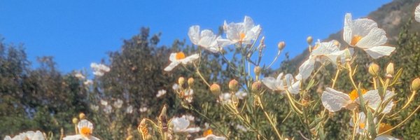 LazyPapers Profile Banner