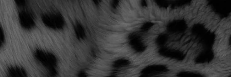 bummyburnerr's profile banner image