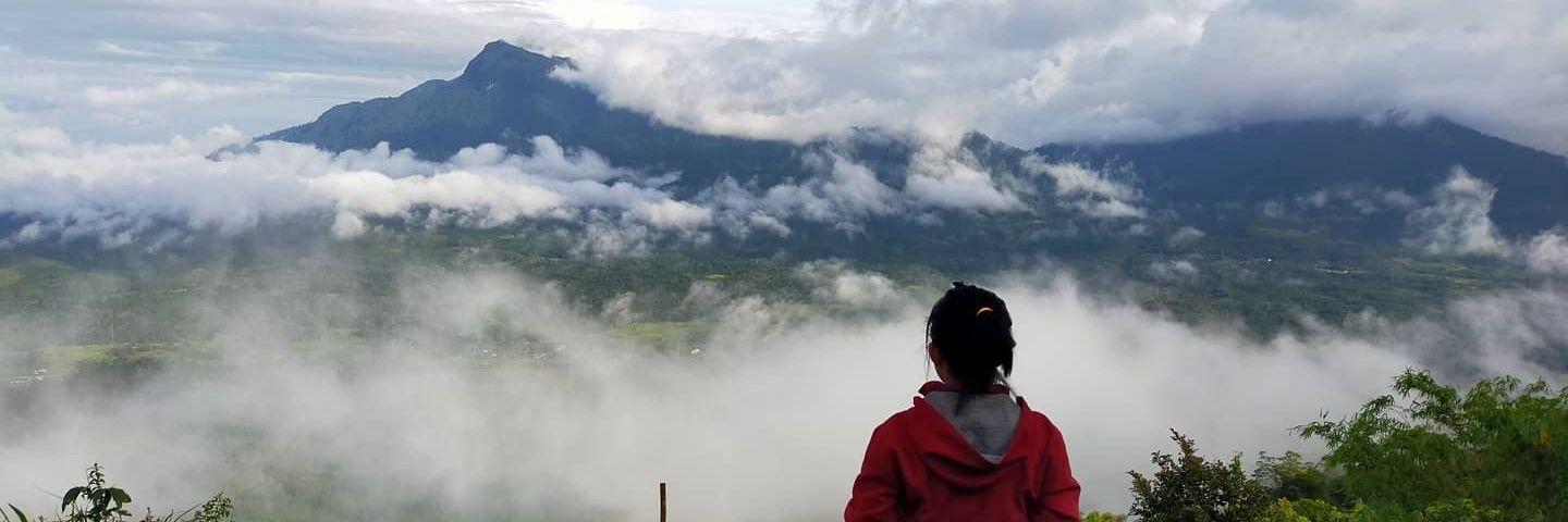 sarahenia's profile banner image