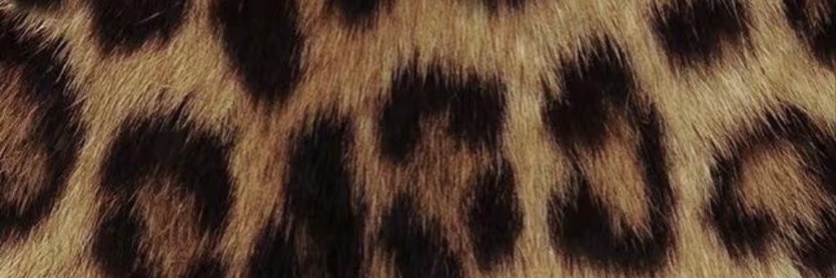 Mirage banner