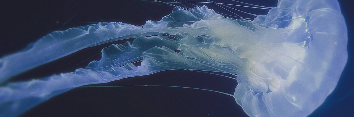 とうか's banner
