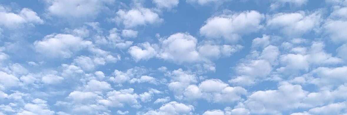 hazelshea_'s profile banner image