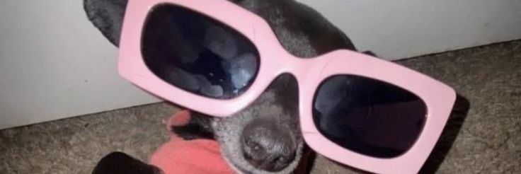 joelialv's profile banner image