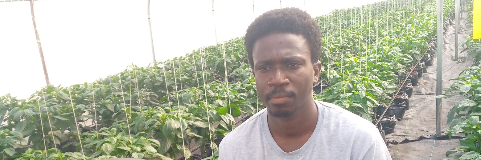 The Delta Force banner