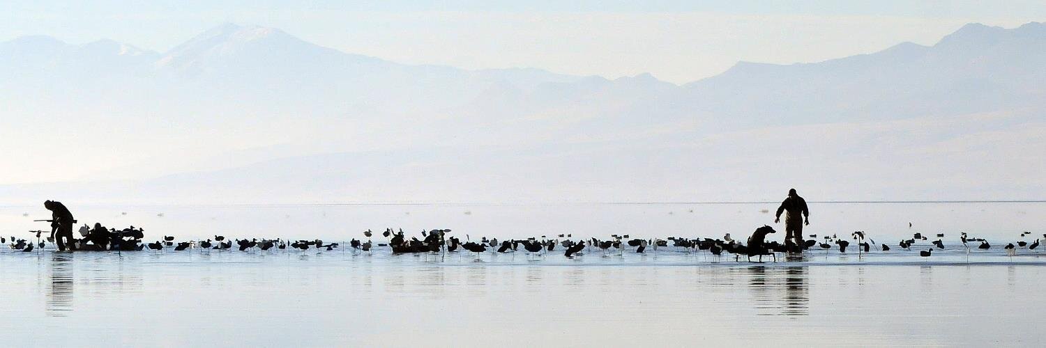 Chris Jennings banner