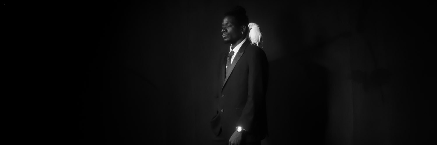 shayodavids's profile banner image