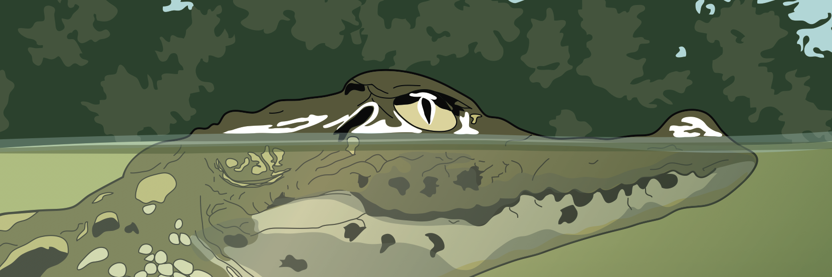 StaceyJCreates's profile banner image