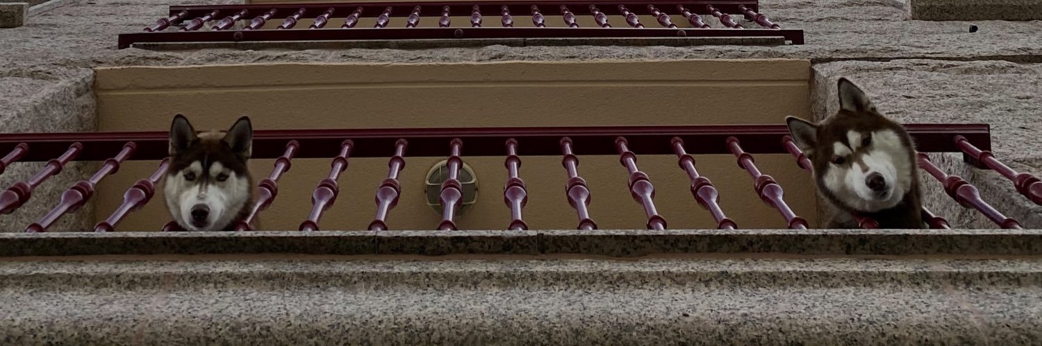 Chicholibero's profile banner image