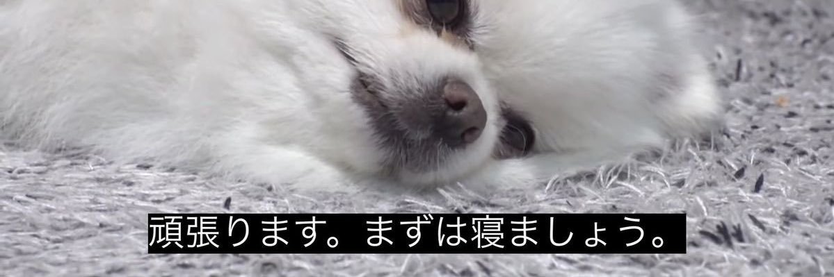 おやすみ@27卒 banner