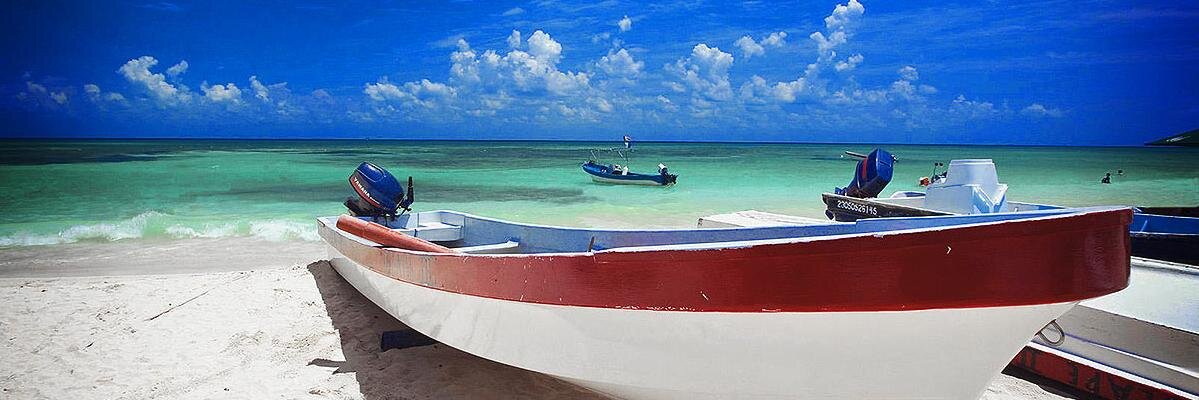 Clemen Del Tejo C banner