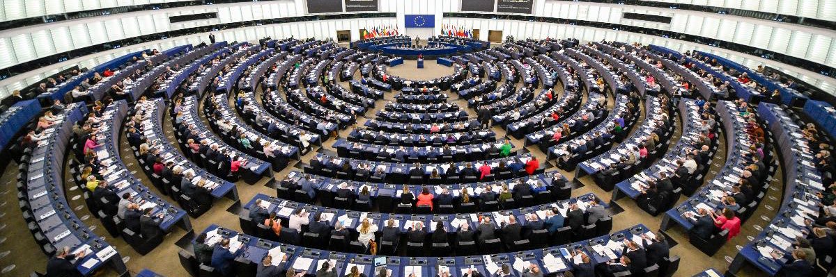 Oliver Schenk banner