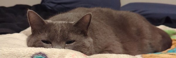 JaspernDumpling Profile Banner