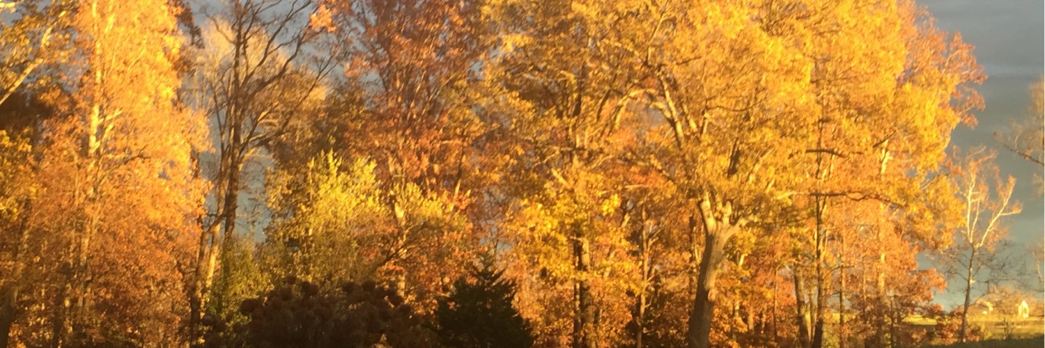 mfidgeon's profile banner image
