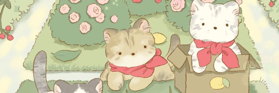 ann2646's profile banner image