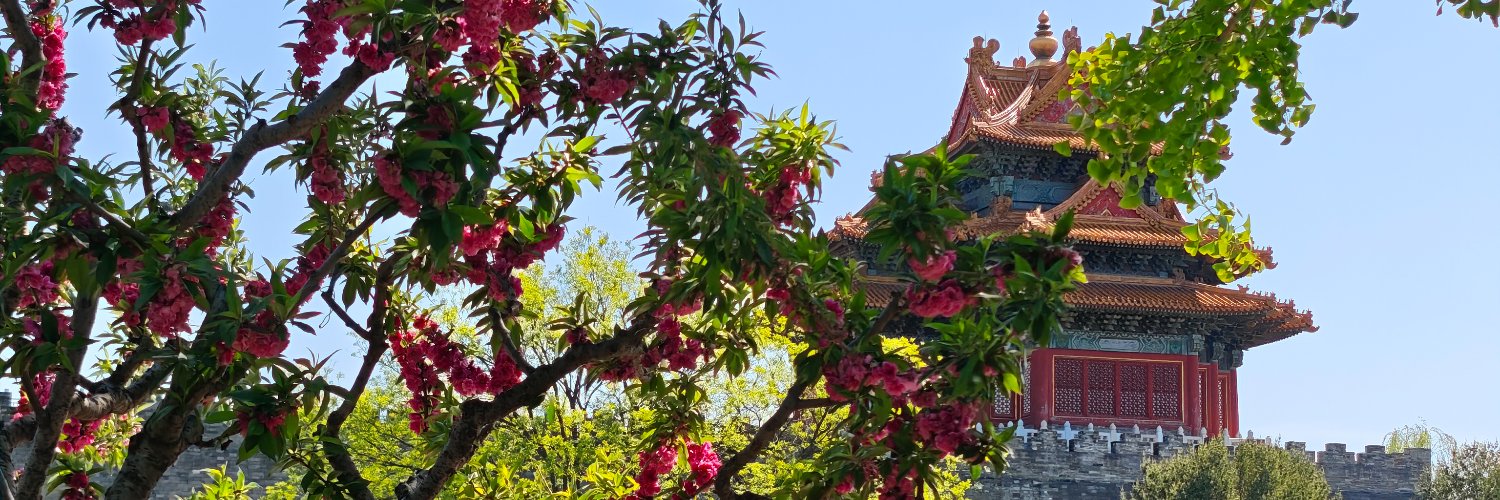 IngridInChina's profile banner image