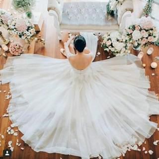 FPretonellah's profile banner image