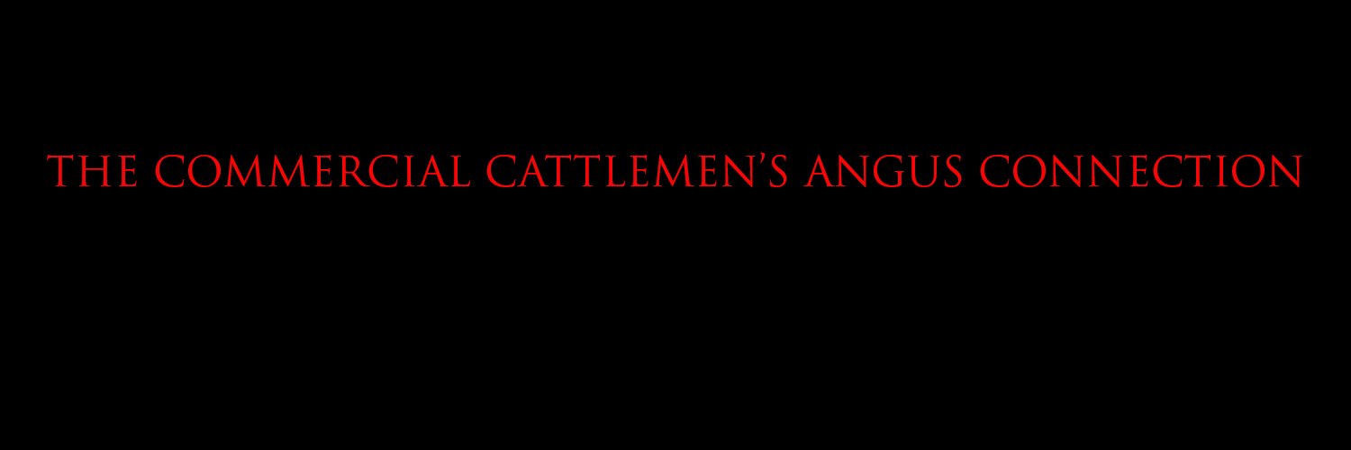 Angus Beef Bulletin Team banner