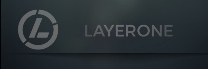 LayerOne banner