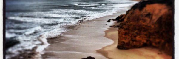 TaylorDarci Profile Banner