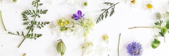 sophielouisew_'s profile banner image