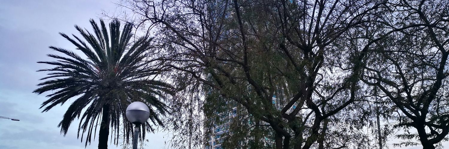 Maria Forga Martel banner