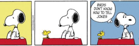 tha ⁠♡⁠⌓⁠♡ banner